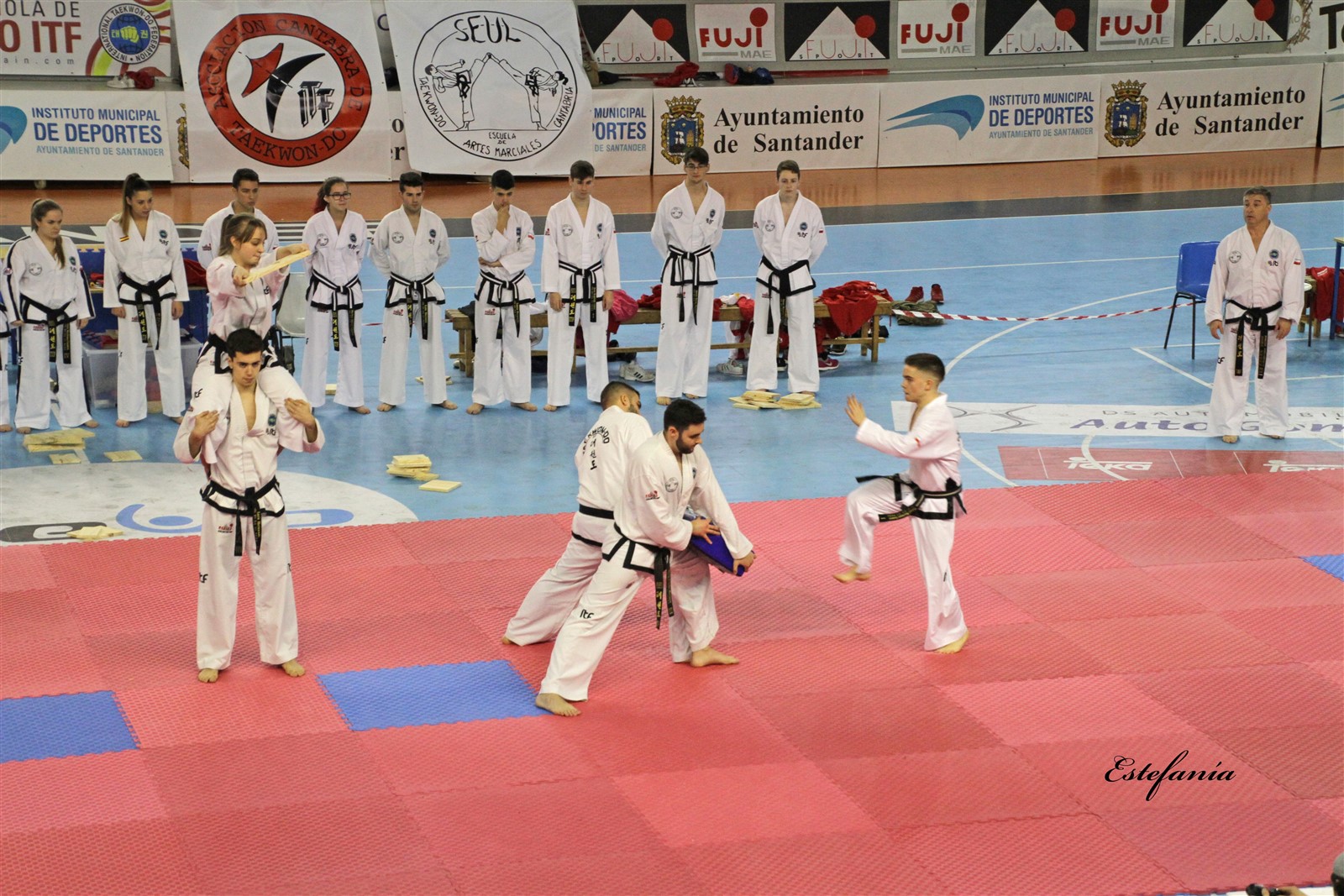 Taekwondo (228).jpg